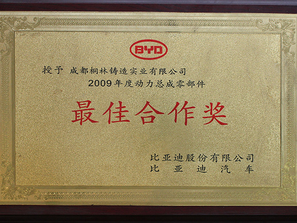 比亞迪最佳合作獎(jiǎng)